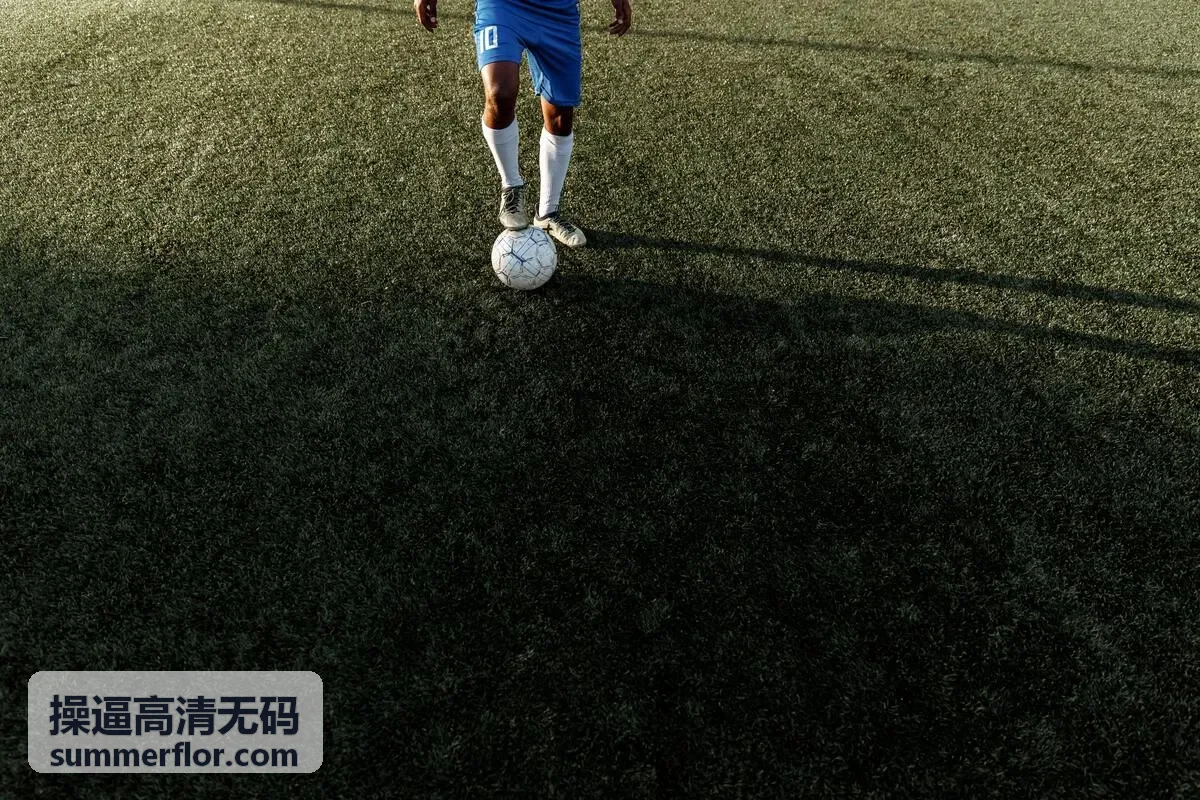 操逼高清无码高清热播内容